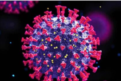 IMG 20231221 WA0019 1