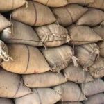 download 2023 12 13T212032.962