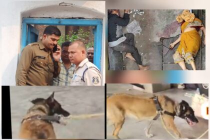 WhatsApp Image 2025 01 13 at 2.59.00 PM