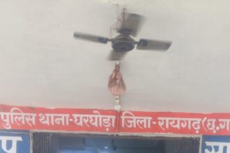 IMG 20250328 WA0022
