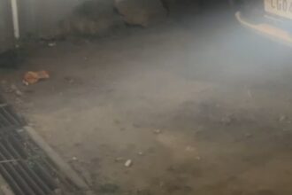 Screenshot 20250320 194307 WhatsApp copy 810x562