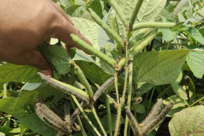 IMG 20250423 WA0021 copy 1013x1351