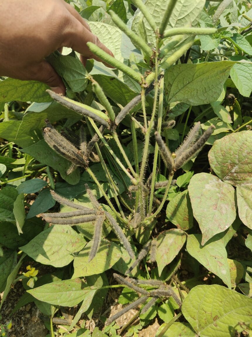 IMG 20250423 WA0021 copy 1013x1351