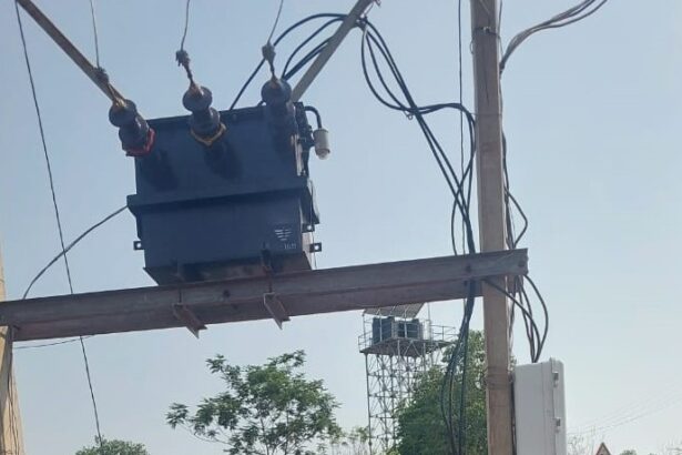 IMG 20250515 WA0032 1