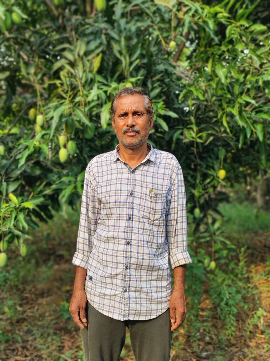 आम की खेती से किसान श्री रूपचंद का परिवार हुआ खुशहाल 5 IMG 20250610 WA0007 copy 1013x1351