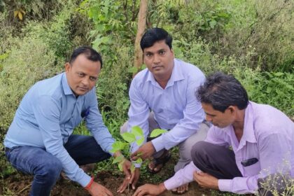 IMG 20250705 WA0003 copy 760x723