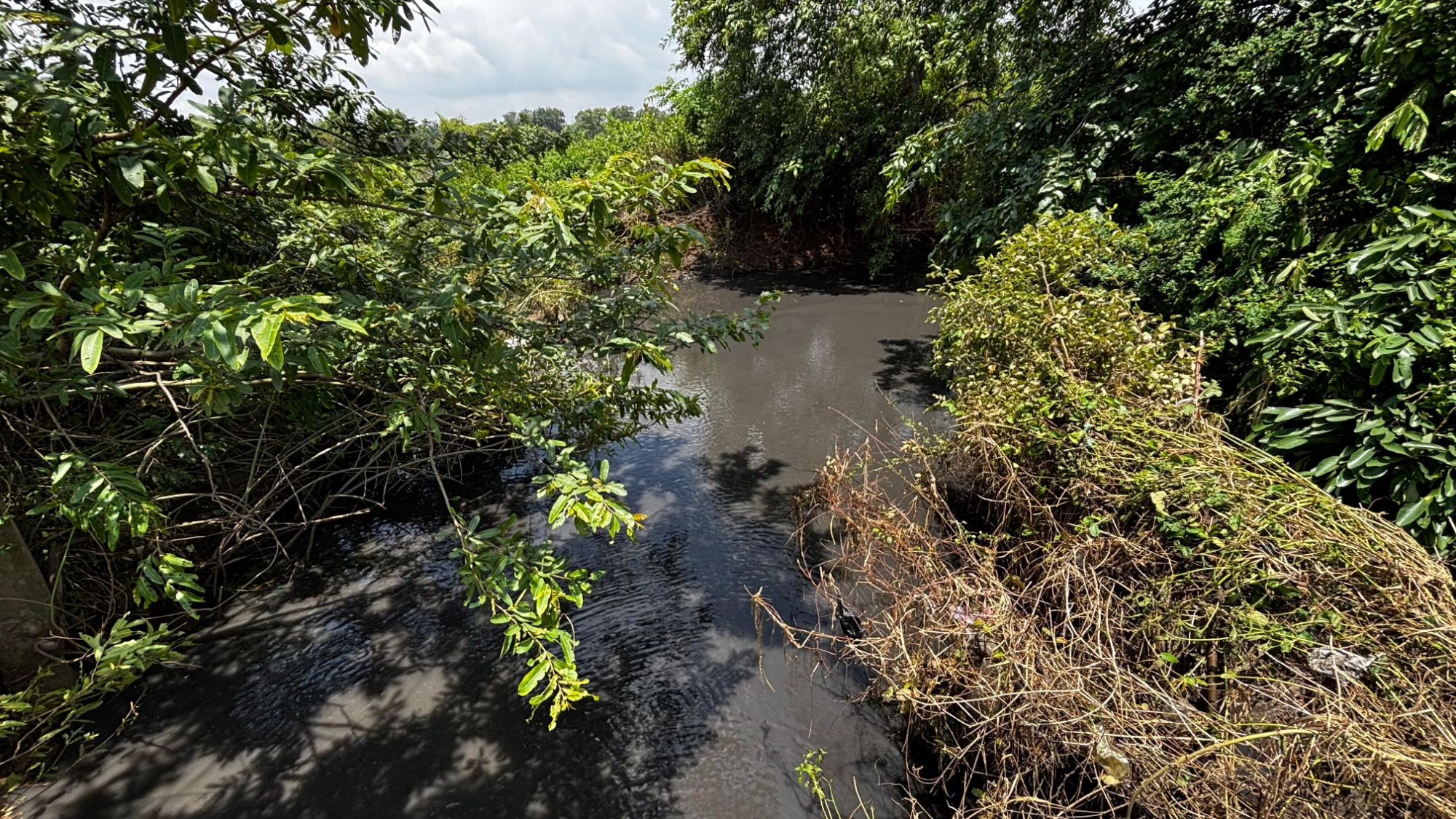 img 20250712 wa00073905788863774247526