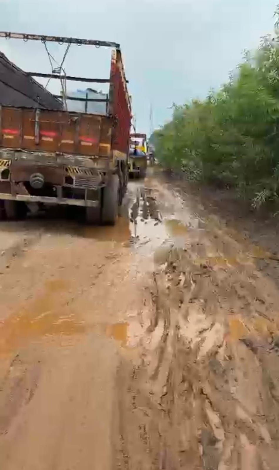 img 20250718 wa00073501832223481805244