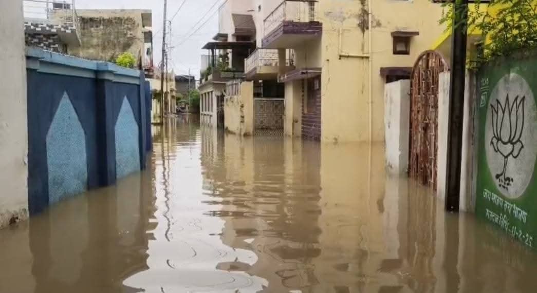 img 20250725 wa00494488007866291193253