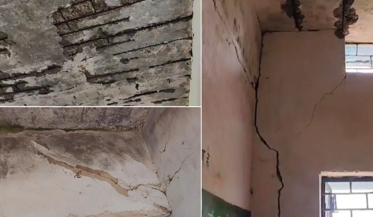 img 20250910 wa00056352692469821112797