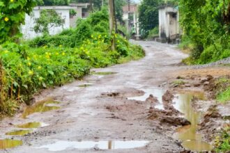 IMG 20251003 WA0012 1