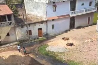 Screenshot 2025 12 02 19 23 01 41 6012fa4d4ddec268fc5c7112cbb265e7