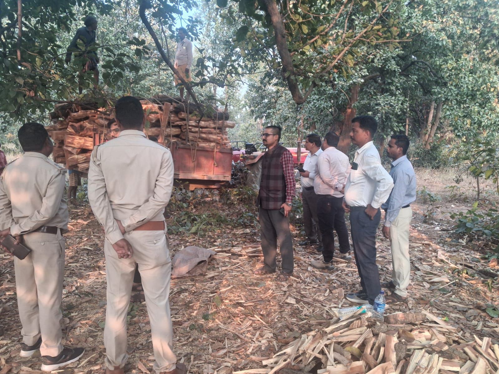 img 20260204 wa00207460343743724239711