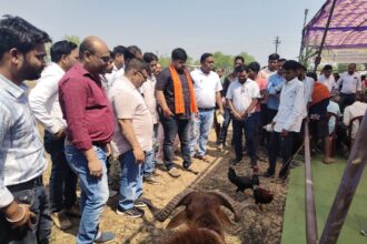 FB IMG 1773496515000