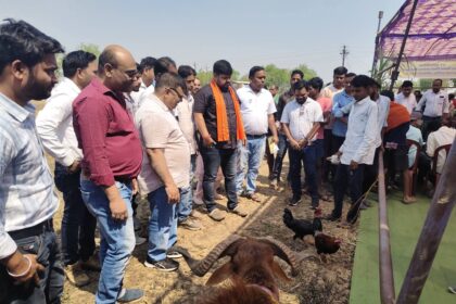 FB IMG 1773496515000