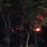 Screenshot 2026 03 14 22 26 45 02 6012fa4d4ddec268fc5c7112cbb265e7