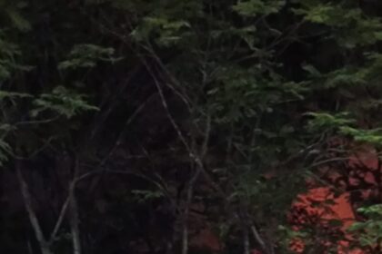 Screenshot 2026 03 14 22 26 45 02 6012fa4d4ddec268fc5c7112cbb265e7