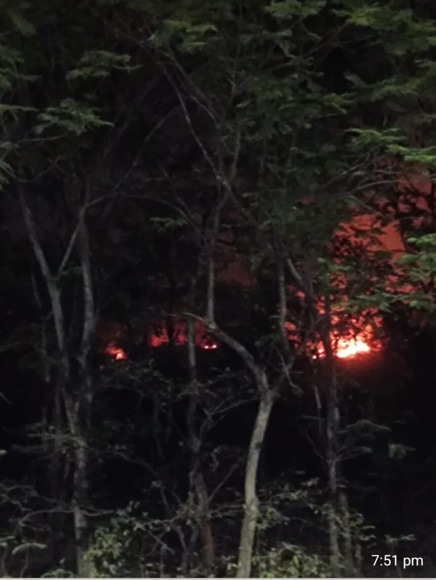 Screenshot 2026 03 14 22 26 45 02 6012fa4d4ddec268fc5c7112cbb265e7