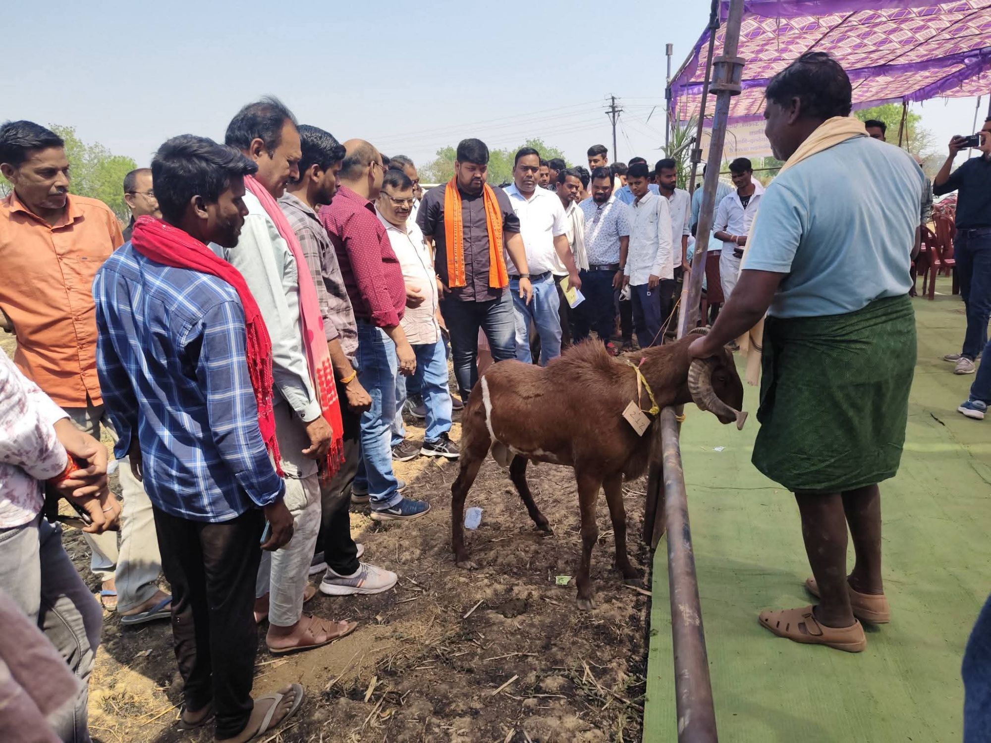 fb img 17734965187084469493016020901557