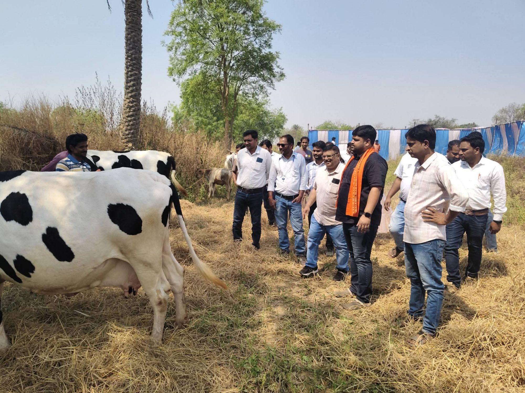 fb img 1773496538783104901878975412390