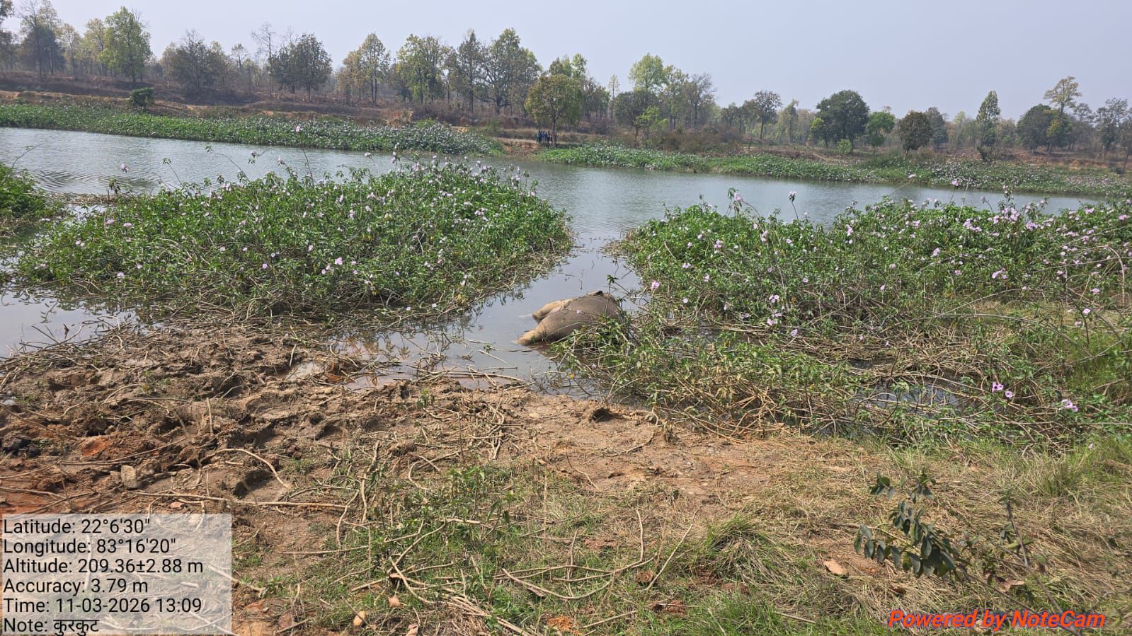 img 20260311 wa00222515448033999025637